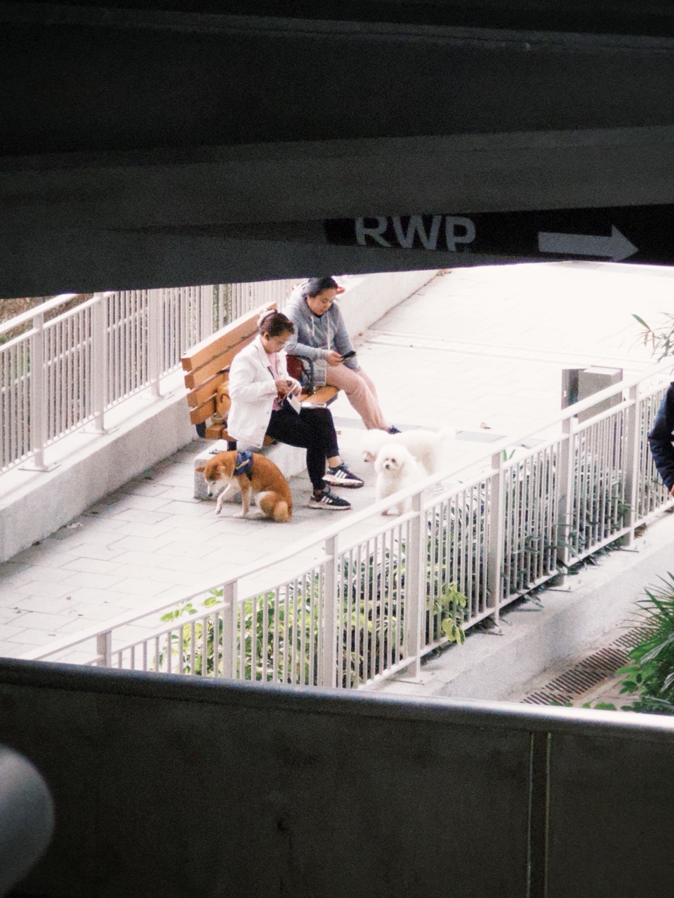 The University of Hong Kong